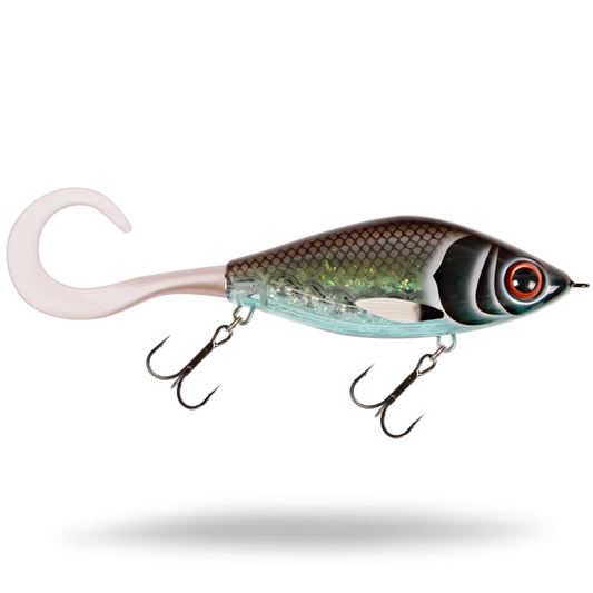 Guppie 13.5cm "Midnight Shiner"