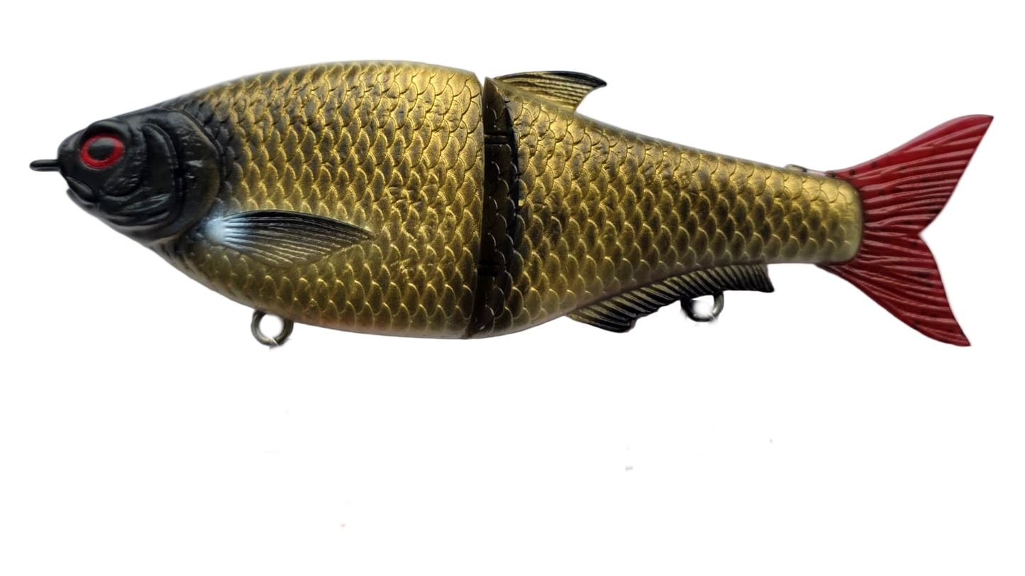 Northern Split Roach 16cm "The Breem"