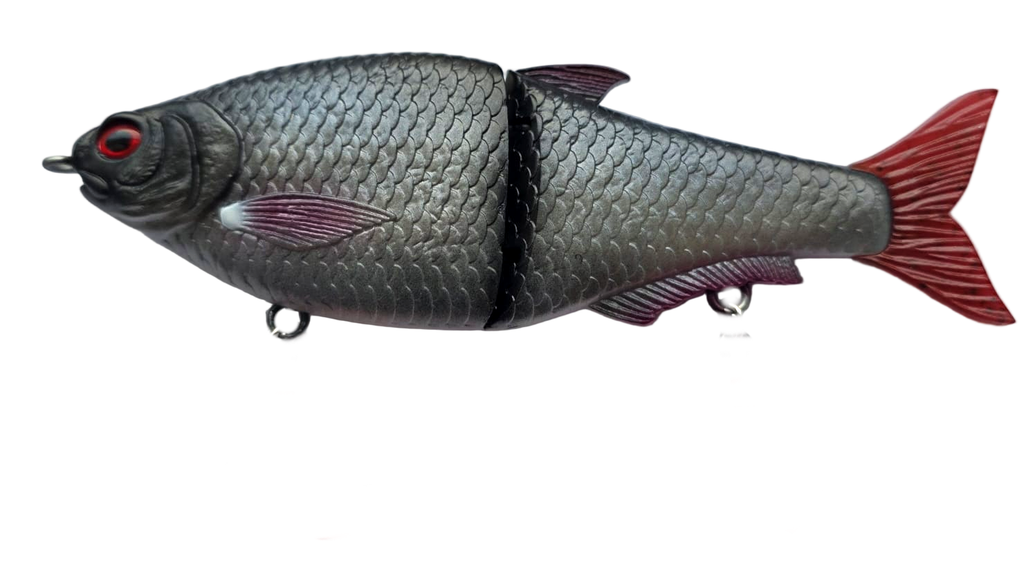 Northern Split Roach 16cm "The Roach"